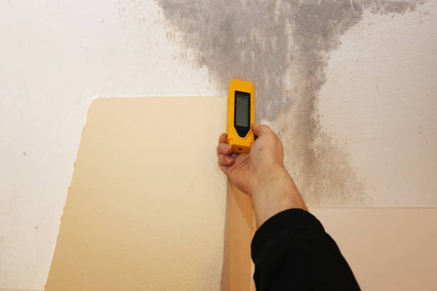 Best Asbestos and Lead Testing During Mold Inspection  in Eielson Af, AK