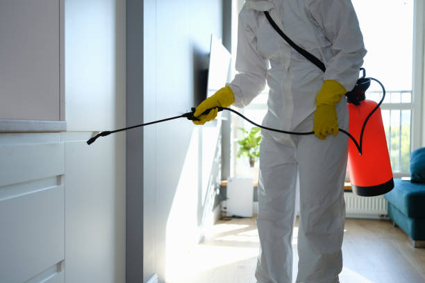 Best Mold Remediation for Healthcare Facilities  in Eielson Af, AK